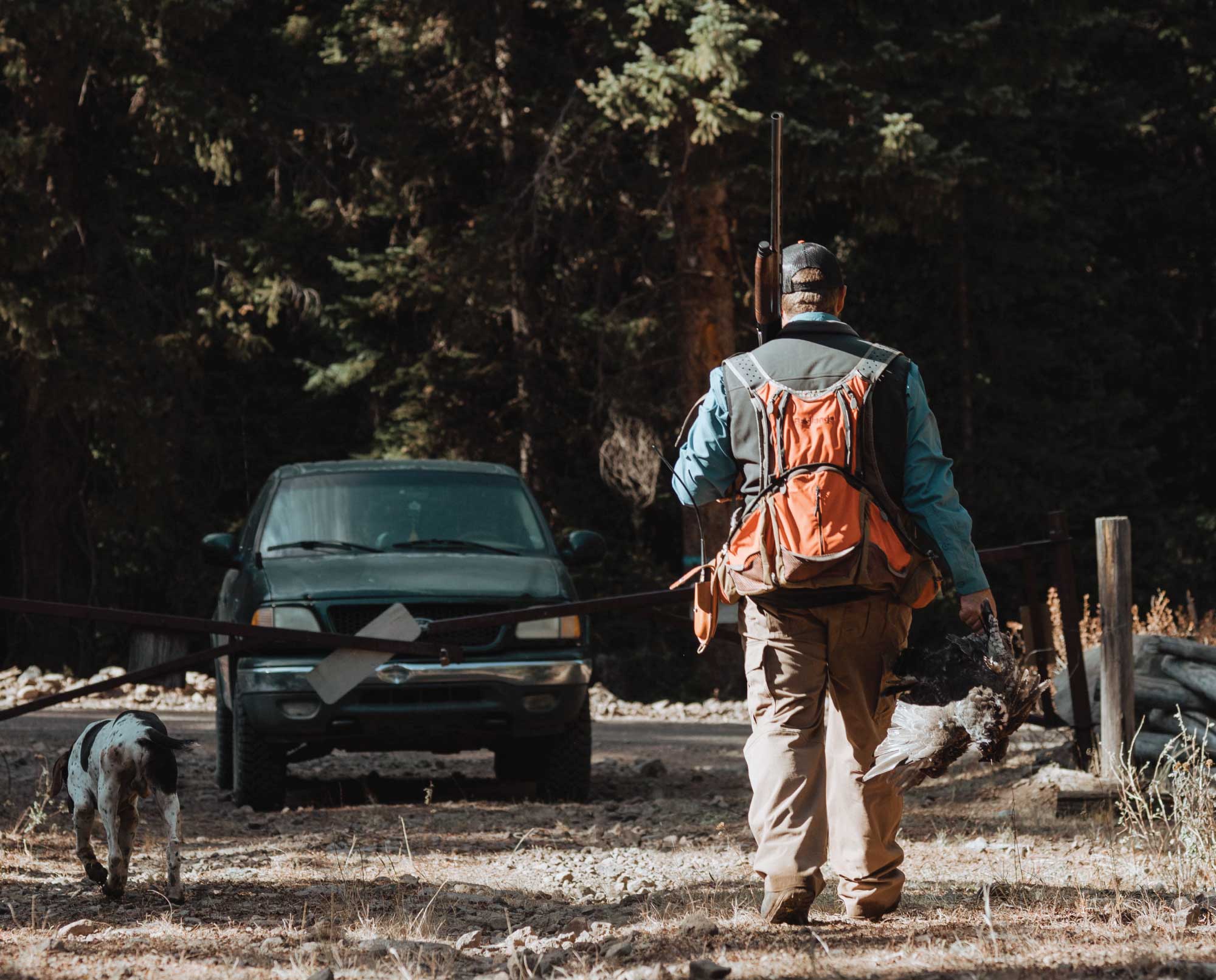 Bird Hunting Utah, Grouse, Quail, Chukar, Pheasant, Ptarmigan, and More