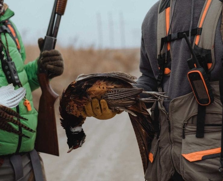 A mentoring hunter shows a pheasant from a successful hunt.