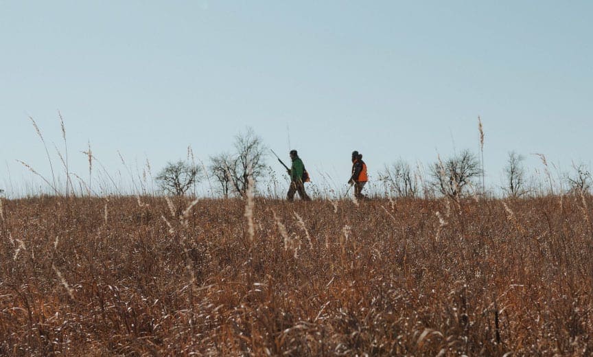Bird hunters waking on the prairie 