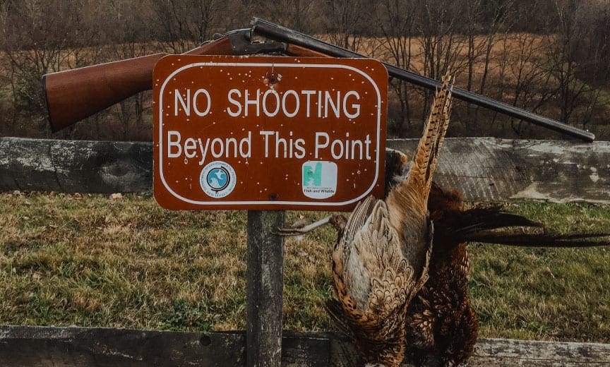 A Stevens 315 shotgun during a pheasant hunt. 