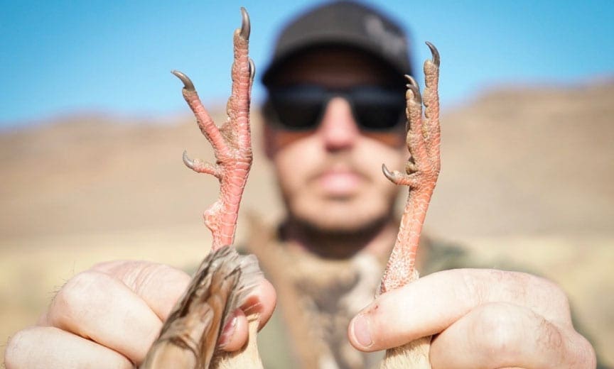 A hunter holds up the red legs of a chukar partridge. 