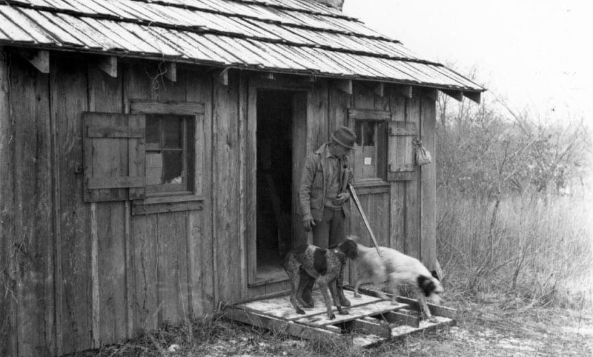 Aldo Leopold with his bird dogs