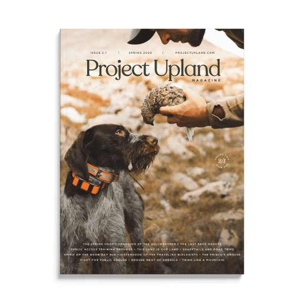 Spring 2020 Pubic Grouse Issue of Project Upland Magazine