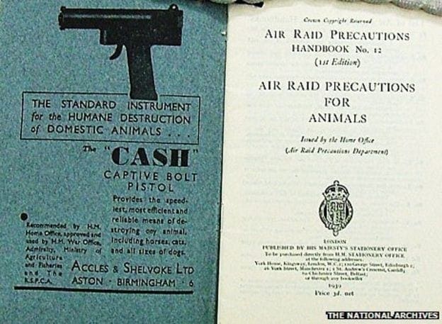 a 1939 British pamphlet on "Advice for Animal owners" during Air Raid Precautions