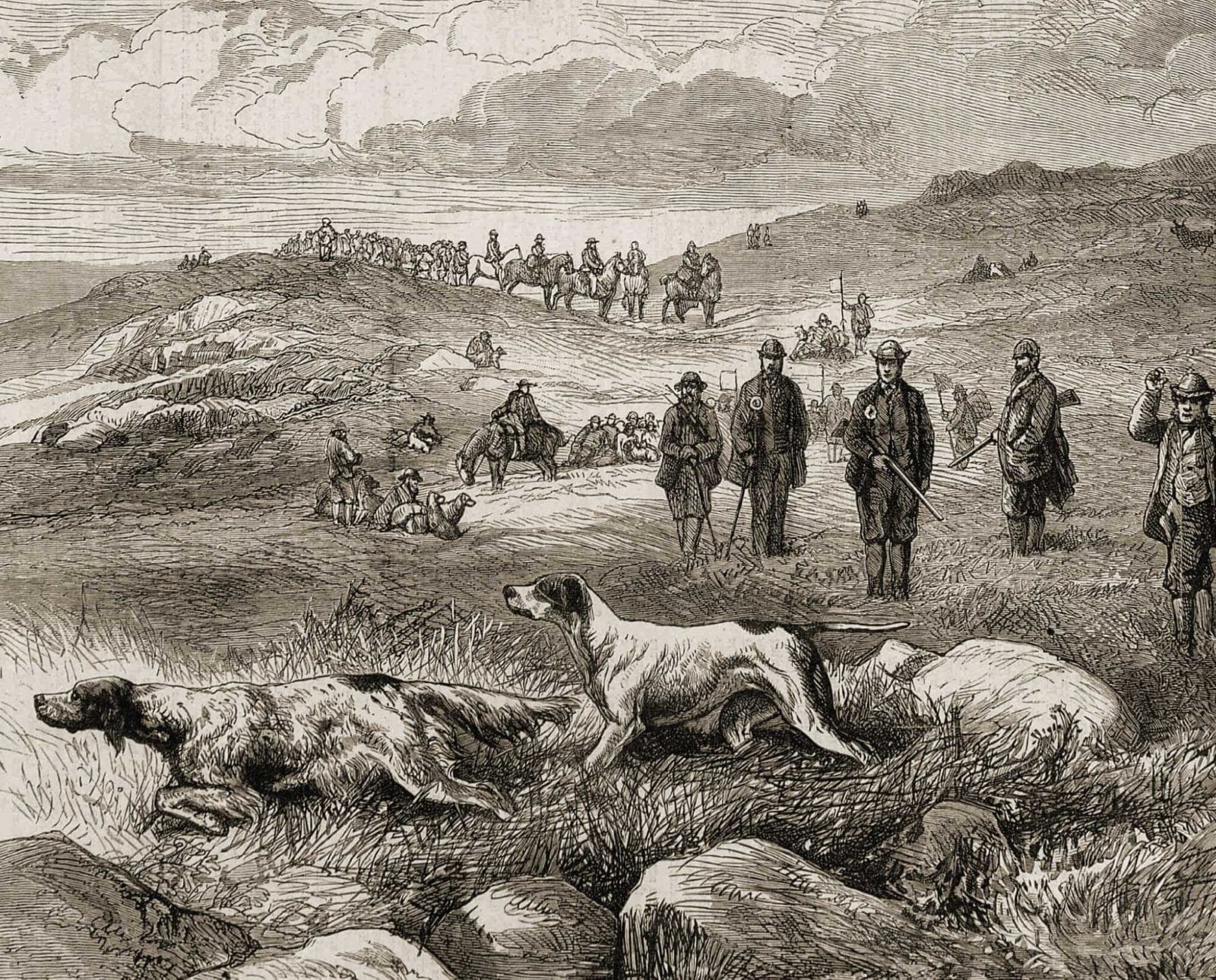 A historic drawing of the early pointing dogs in action while hunting.