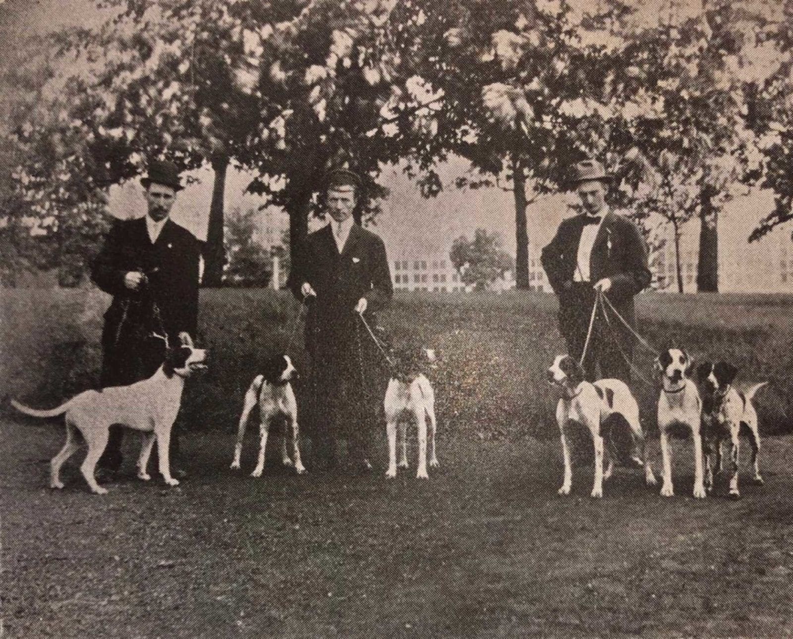 Group of Field Trial Pointers 1907