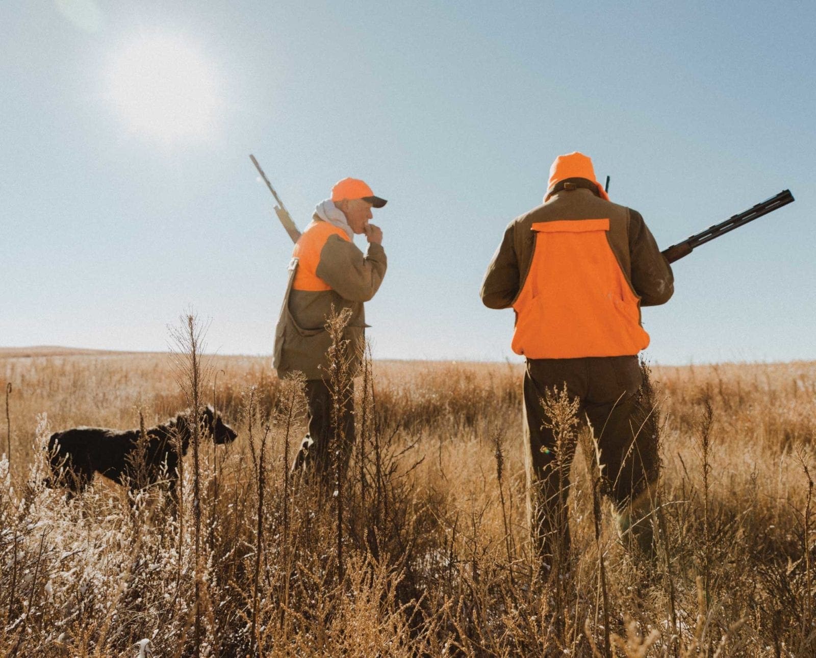 A hunter and his mentor in a field with a bird dog.