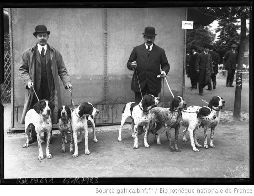 French field trialers with their pointing dogs circa 1920