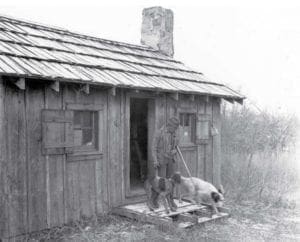 Aldo Leopold the conservationist with his hunting dogs.