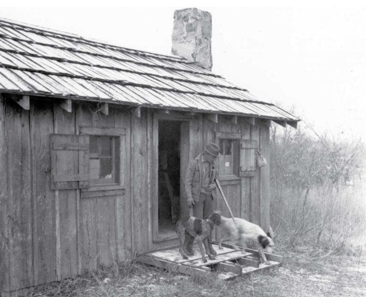 Aldo Leopold the conservationist with his hunting dogs.