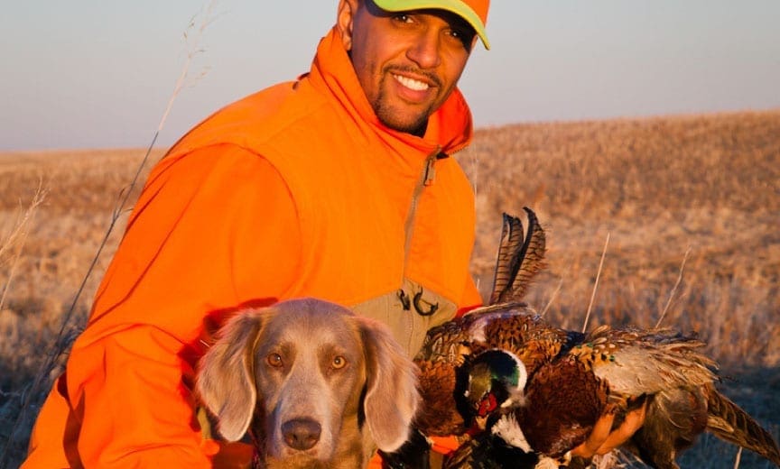 A black hunter on a pheasant hunt.