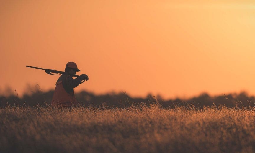 a hunter walking in a field while hunting grouse in Minnesota
