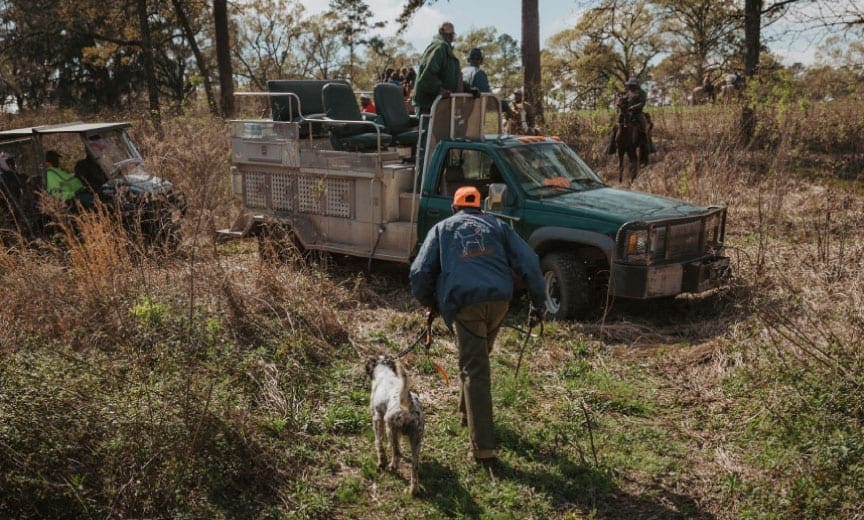 A dog on a brace during the black handlers club field trial
