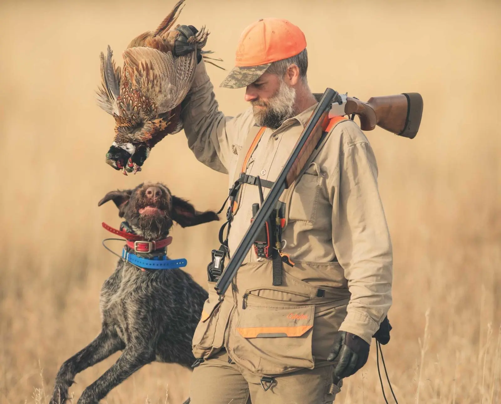 Choosing the Best Length Barrel for Pheasant Hunting - Project Upland