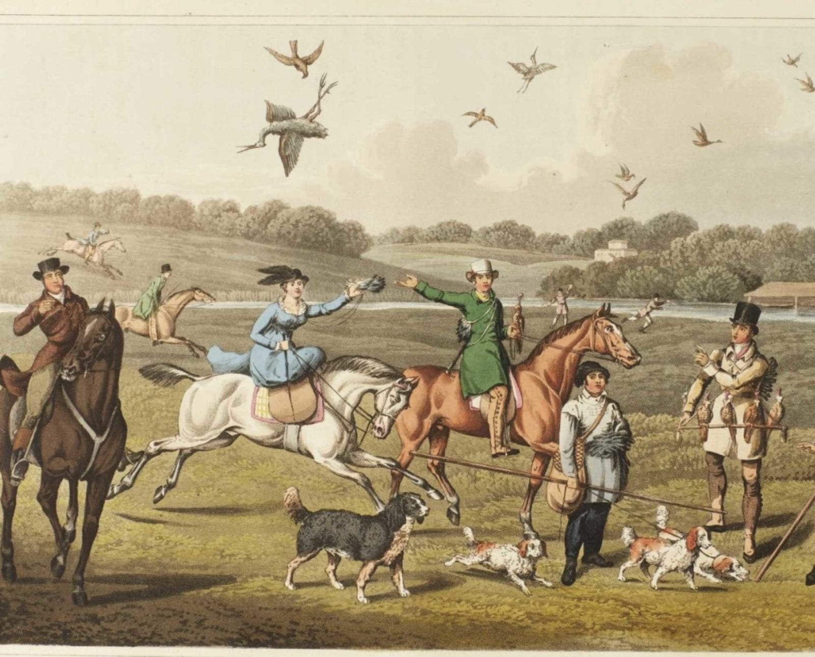 "Hawking" by H. Alkin depicting a falconry hunt on horseback with spaniels