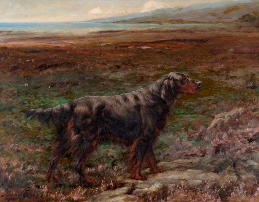 Painting by Maud Earl of the Gordon Setter Rum Bess
