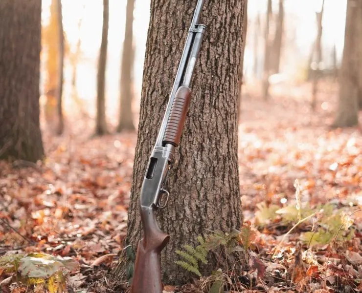 A Winchester Model 12 on a bird hunt