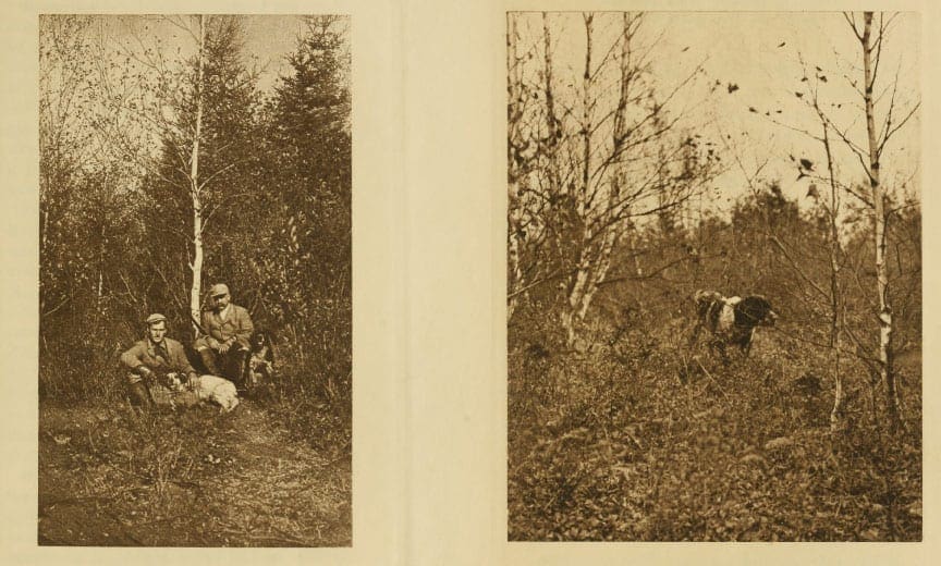 Original photos from the 1908 book Woodcock Shooting by Edmund Davis