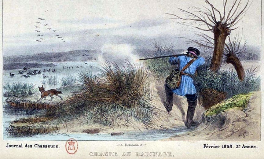 A French trapper using a Nova Scotia Duck Tolling Retriever to hunt ducks.