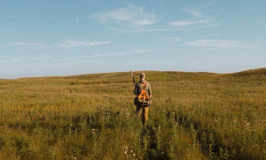 Grouse hunting on a prairie
