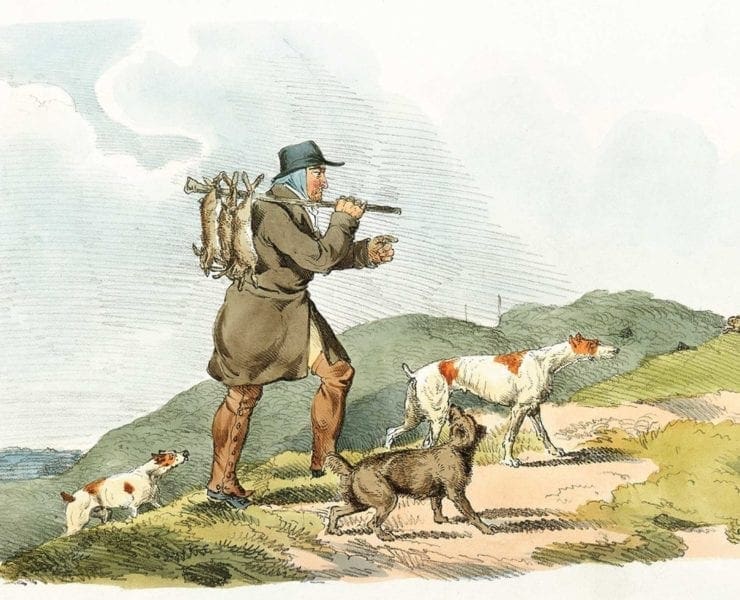 An illustration of a hunter with hounds and rabbits