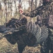 A turkey hunter holds up a turkey during a fall hunt