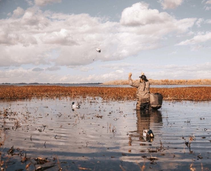 A duck hunter sets up a small decoy spread.