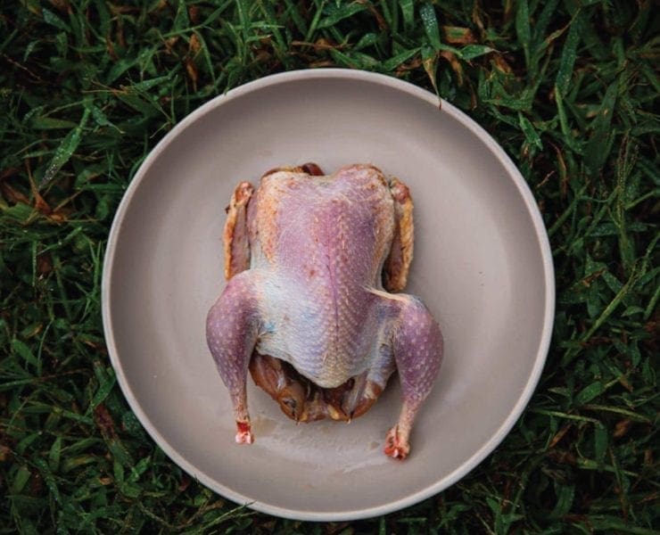 A plucked game bird on a plate ready for cooking