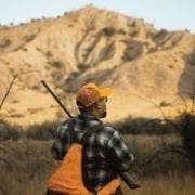 UplandJitsu hunting California quail without a dog