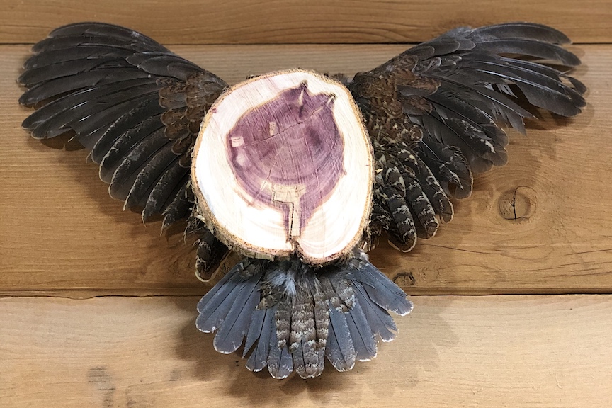 A DIY bird wing and tail taxidermy