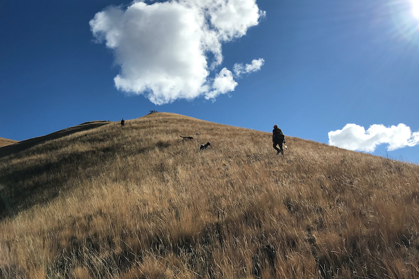 Chukar hunters climb a steep hill in Hells Canyon