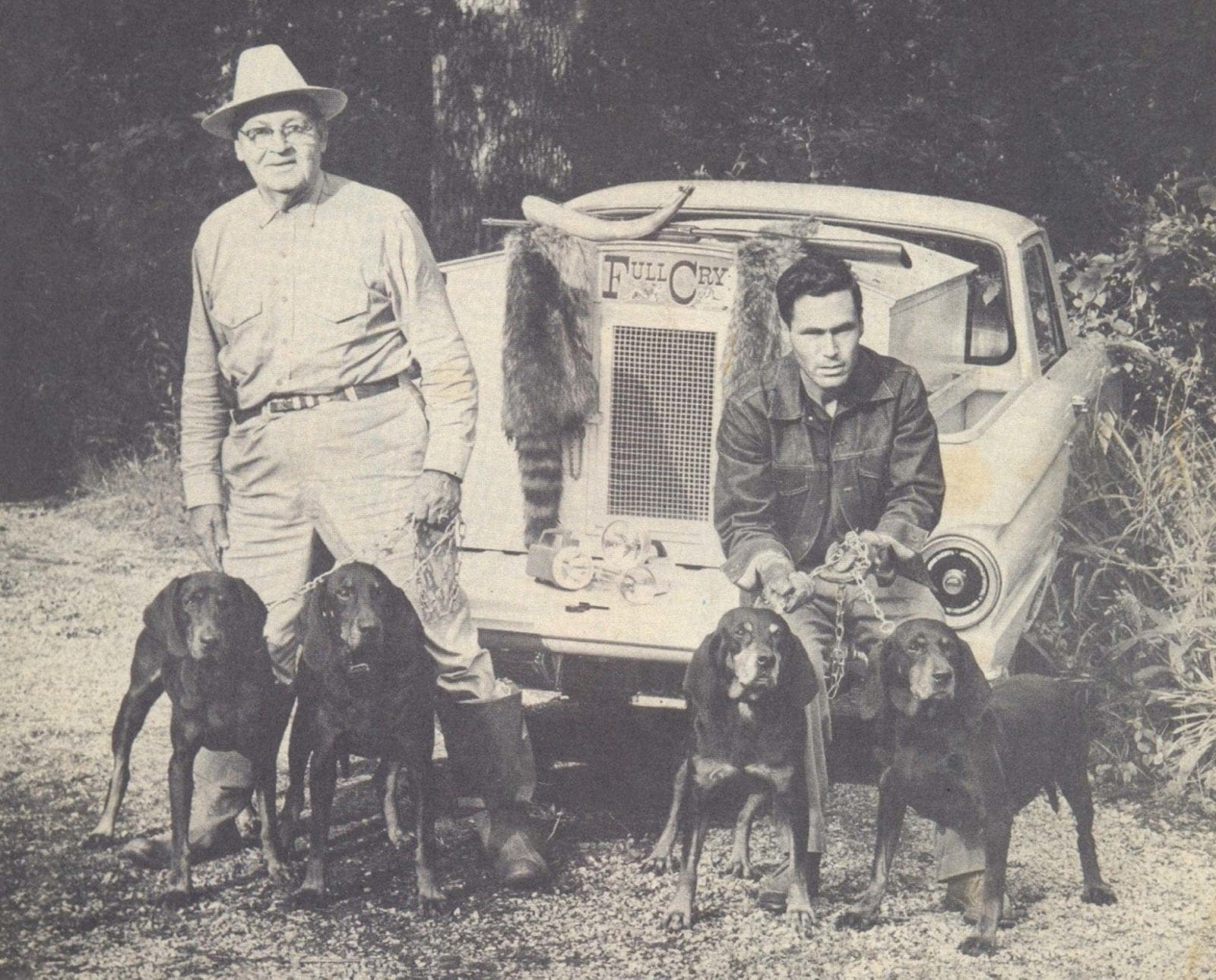 A historic photo of coonhounds at a tailgate with raccoon hunters