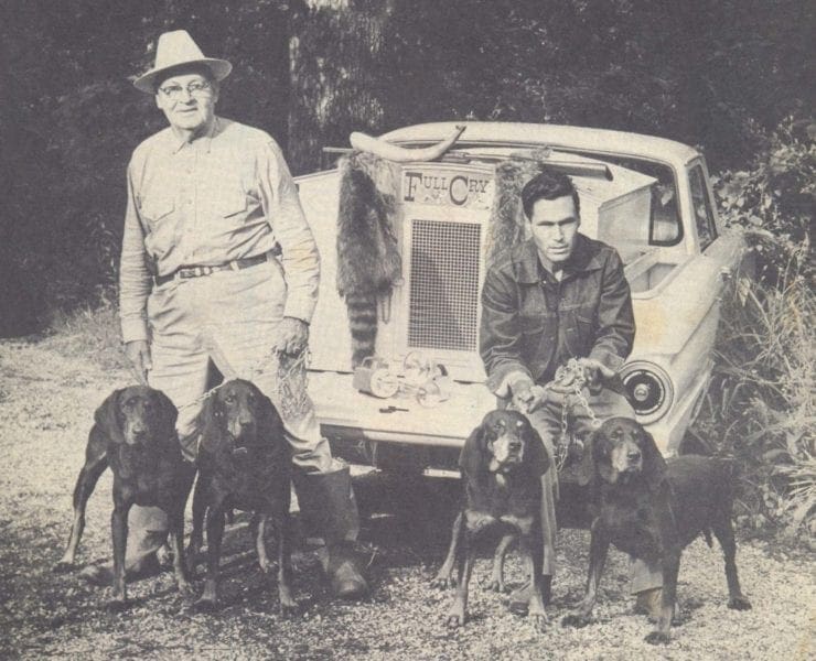 A historic photo of coonhounds at a tailgate with raccoon hunters