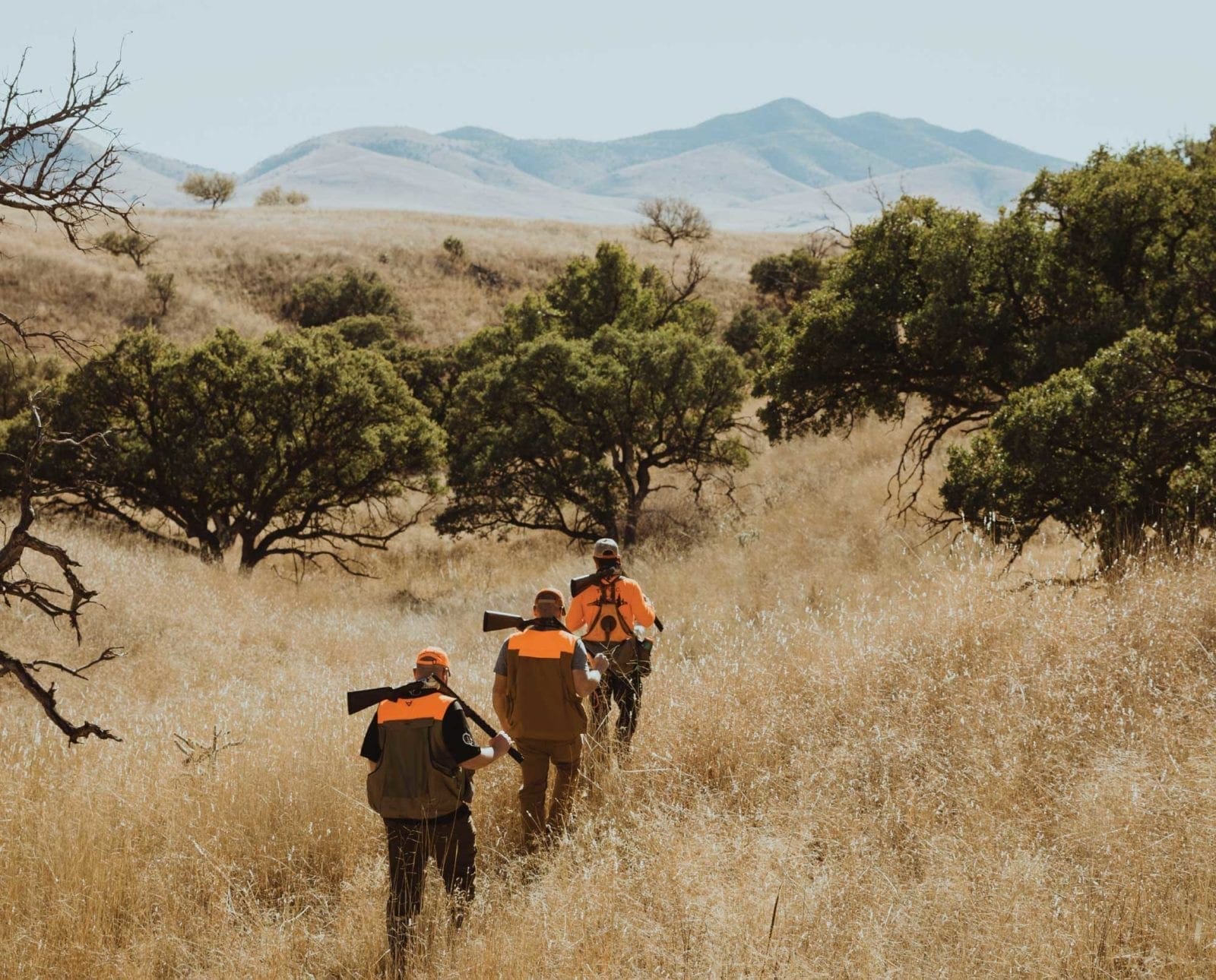 A group of bird hunters walking on federal public lands.