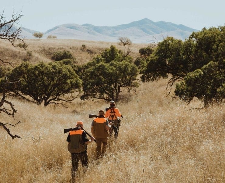A group of bird hunters walking on federal public lands.