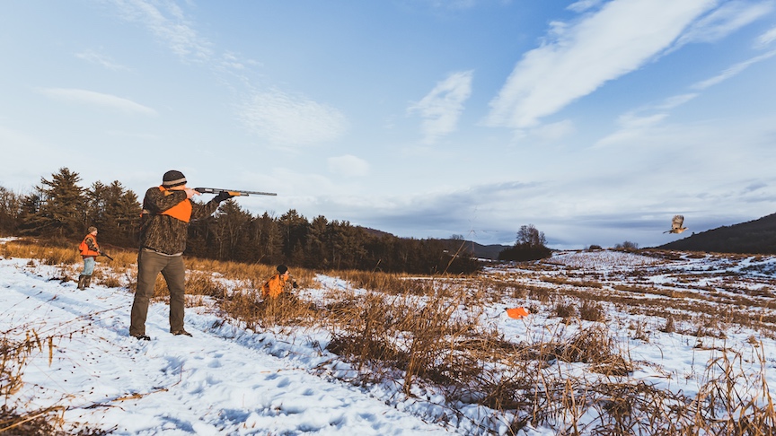 Upland bird hunters shooting at a pheasant in a snowy field