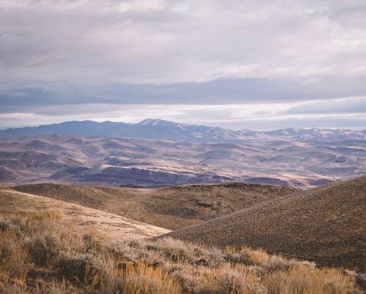 How to Find Chukar by Water, Cover, and Food Source - Chukar Huntin