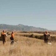 Bird hunters hunting quail in Arizona