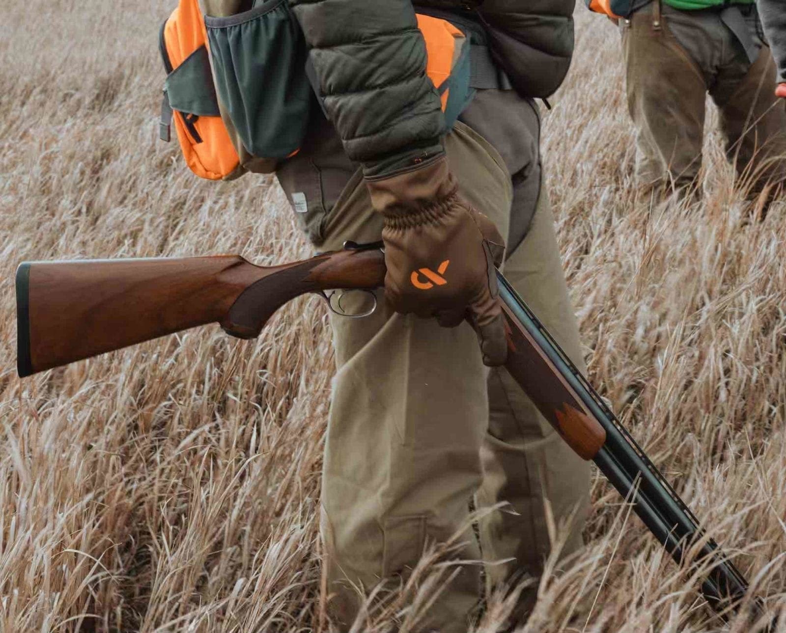 A pheasant hunter holding an over-under shotgun