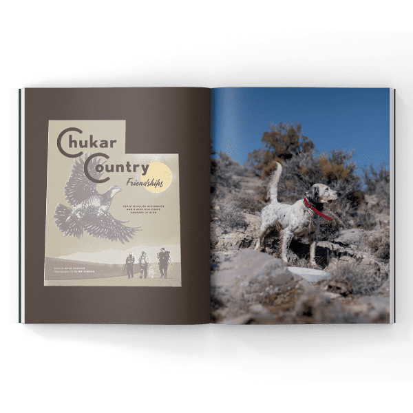Chukar Hunting magazine spread