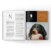 Pointing Dogs in a Magazine
