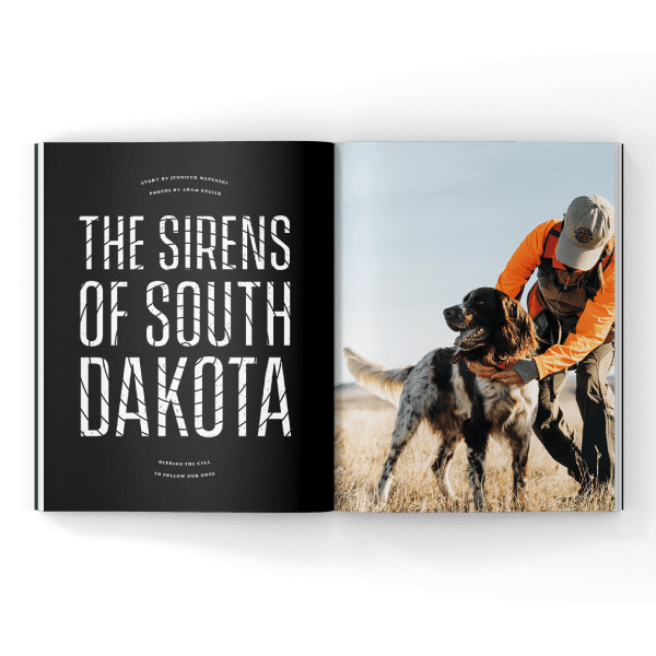 South Dakota pheasant hunting in a magazine
