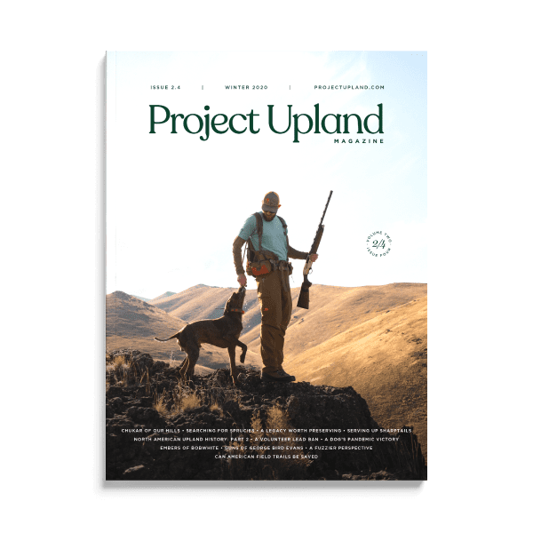 Winter 2020 Cover of Project upland Magazine with a chukar hunter and bird dog.