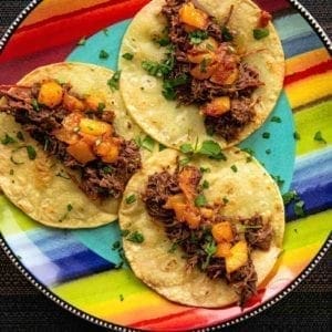 Three pulled-pheasant tacos on a colorful plate