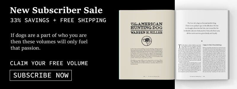 Hunting Dog Confidential Ad Spring 2022