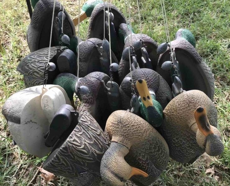 Duck decoys with Texas rigged decoy weights hang in a group