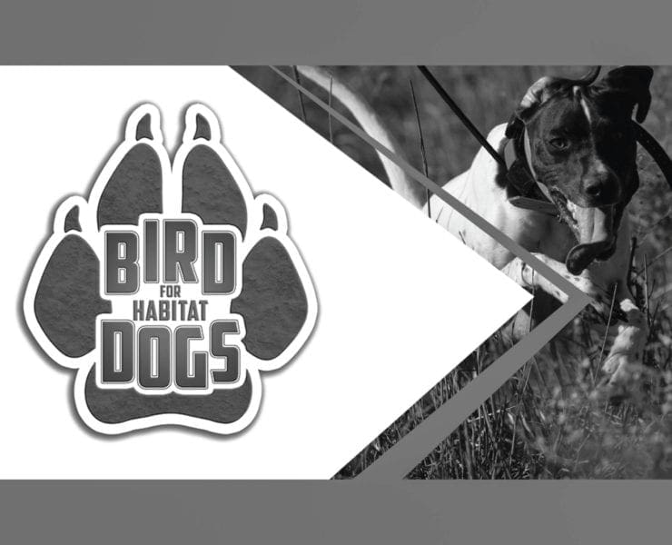 Bird Dogs For Habitat campaign