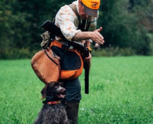 a professional dog trainer commands a dog