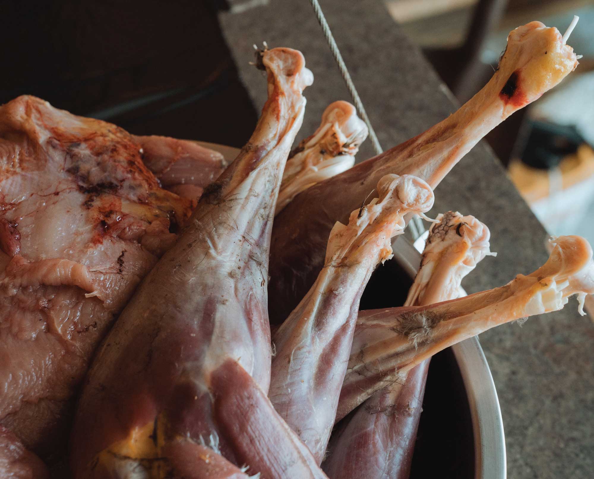 Turkey FUNdamentals: Top Questions for Cooking a Turkey