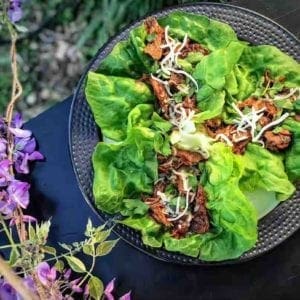 Slow cooked shredded rabbit in lettuce wraps on a plate